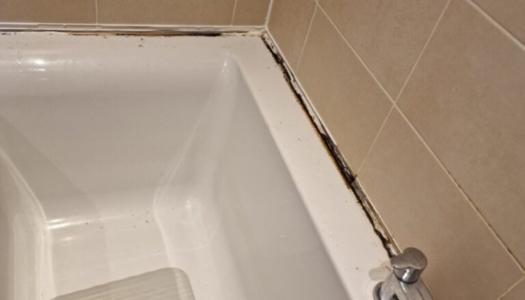 Why does bathroom silicone turn black?