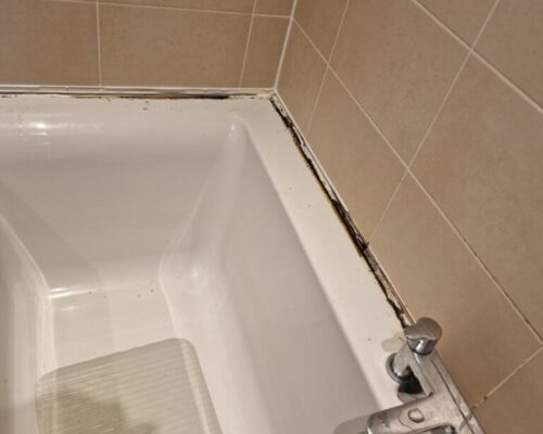 Why does bathroom silicone turn black?